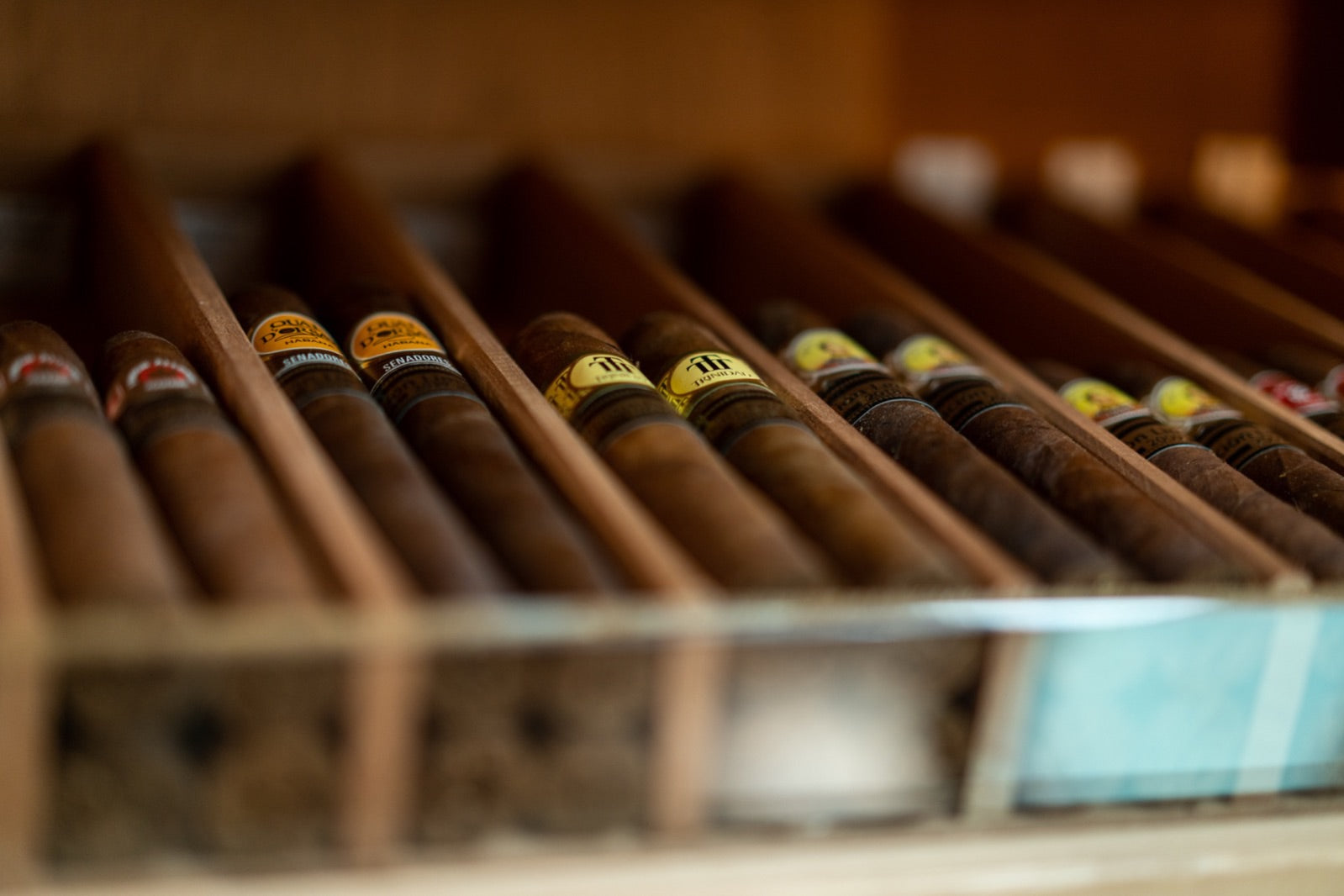 Rows of premium hand-rolled cigars resting in a warm wooden humidor at a luxury cigar lounge, the perfect partner for champagne