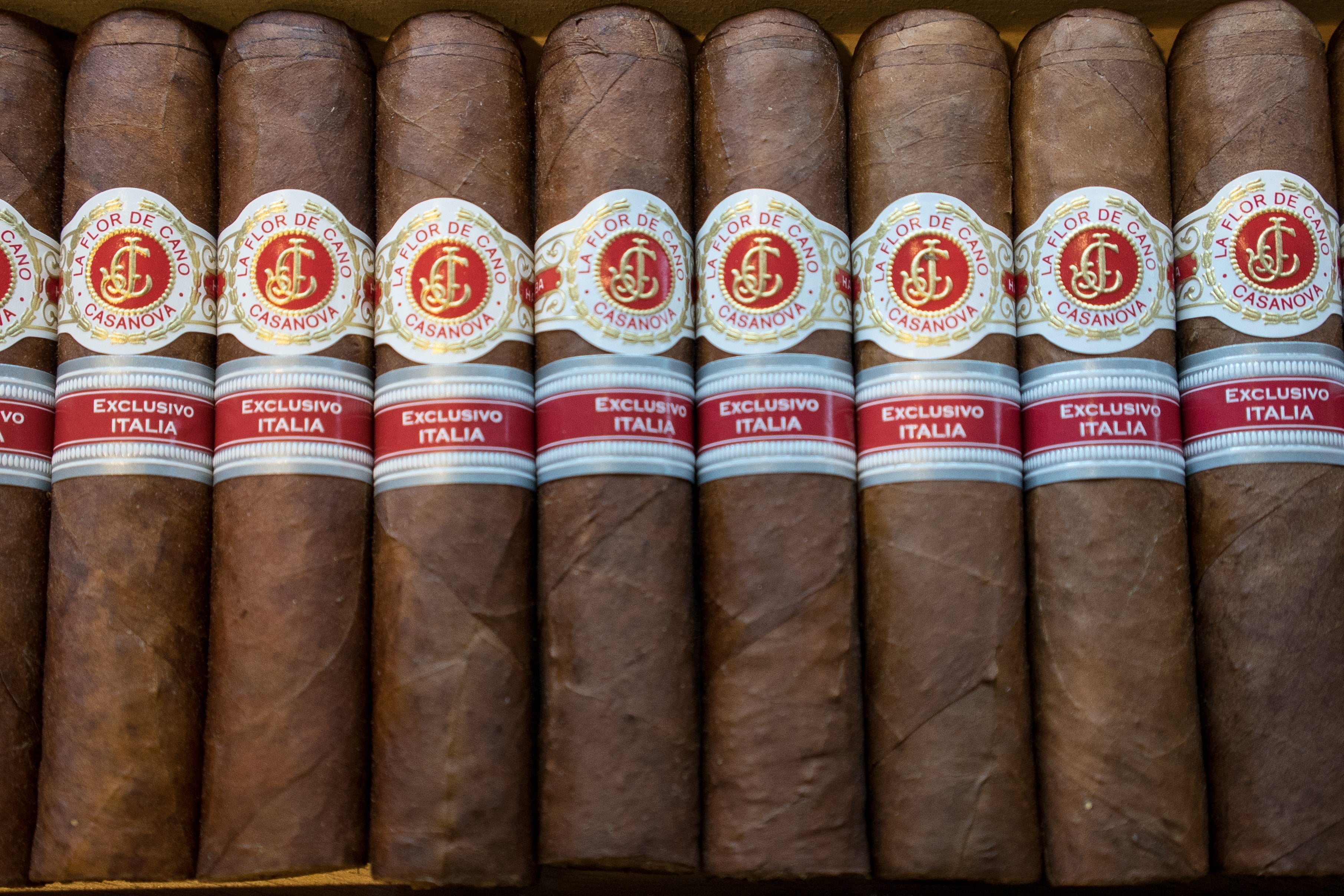 La Flor de Cano Casanova Cigar (Box of 10) Prices Online