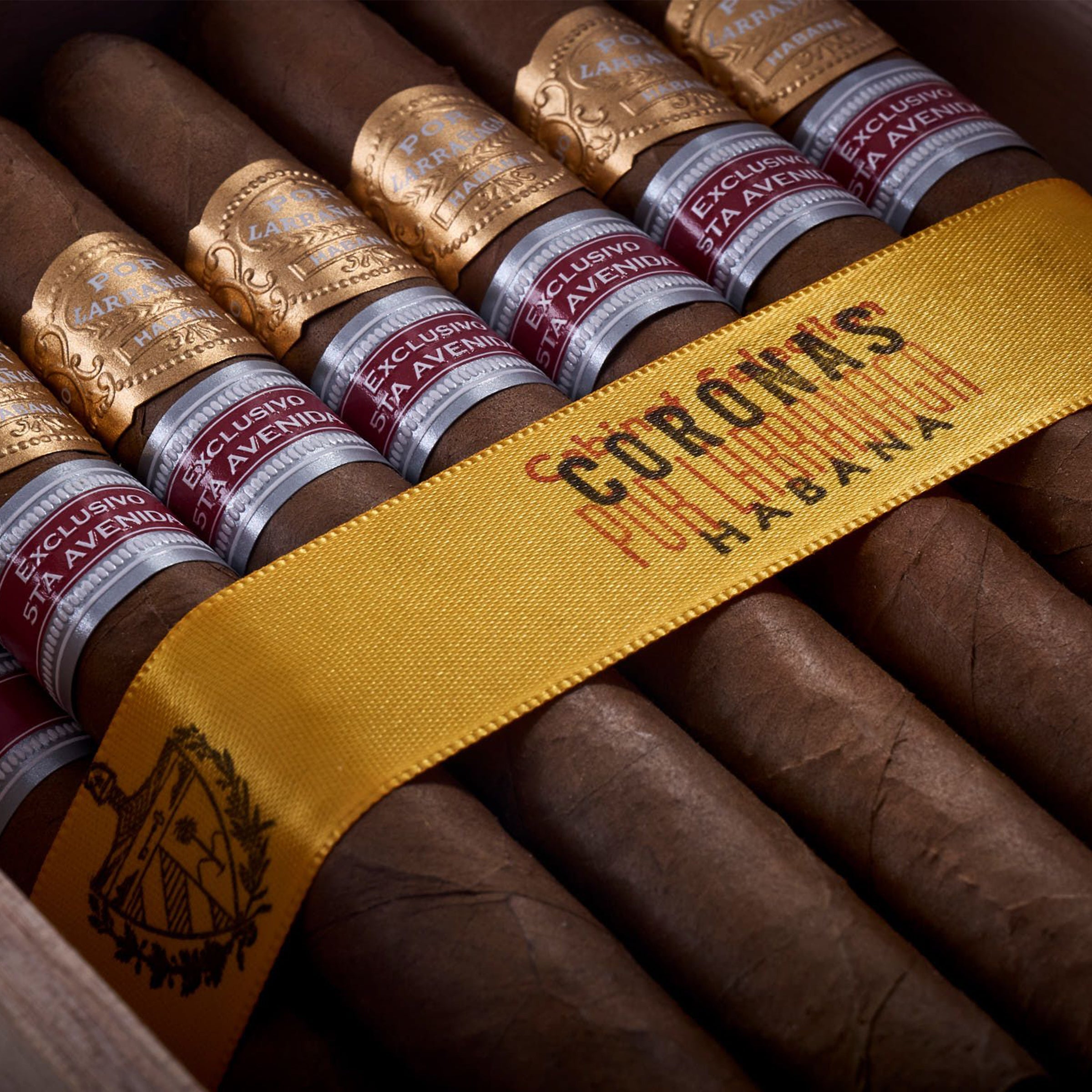 Por Larrañaga Coronas (Ex. 5ta Avenida 2017)