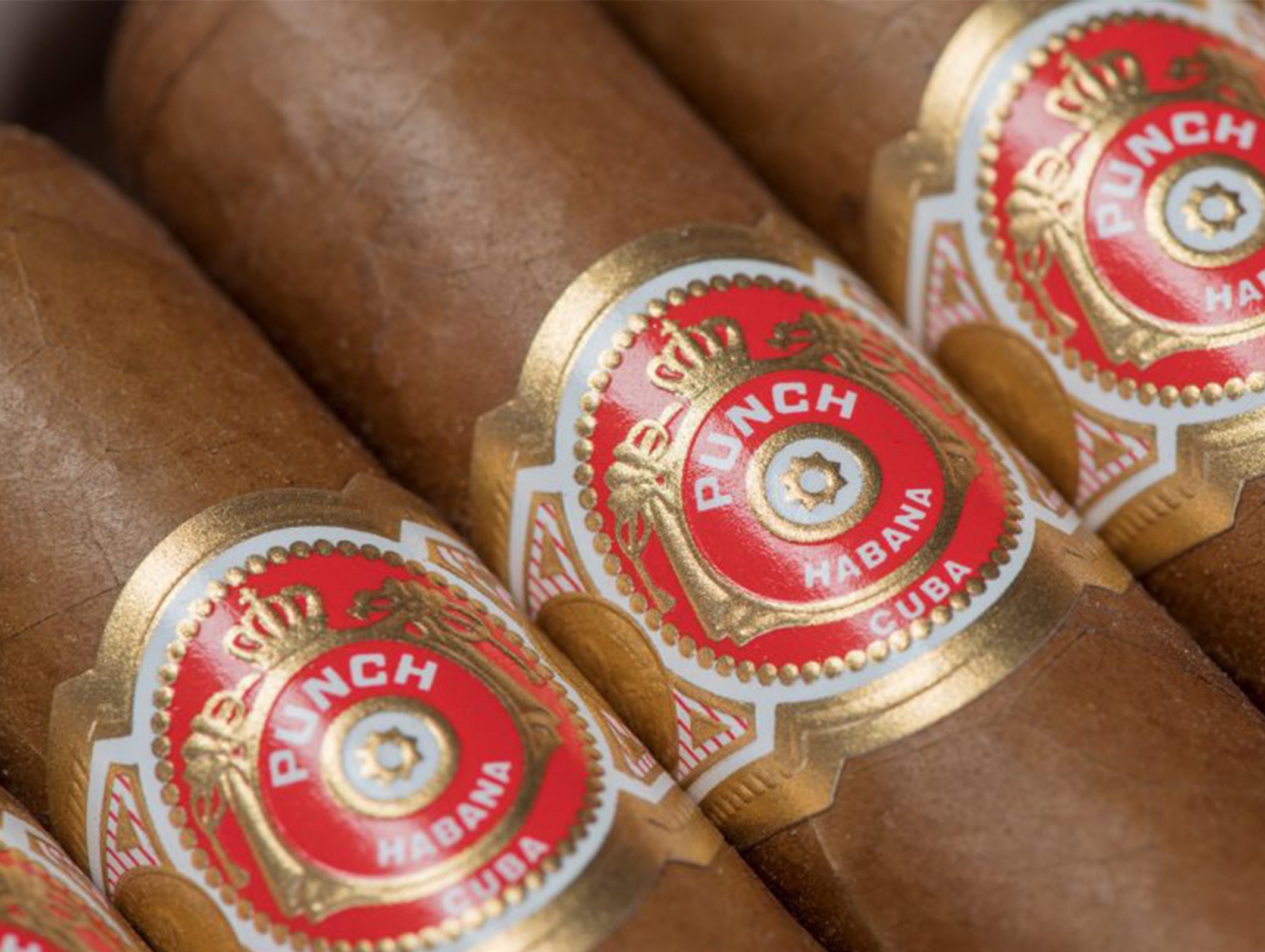 Punch Short de Punch Cigar Box of 10 - EGM