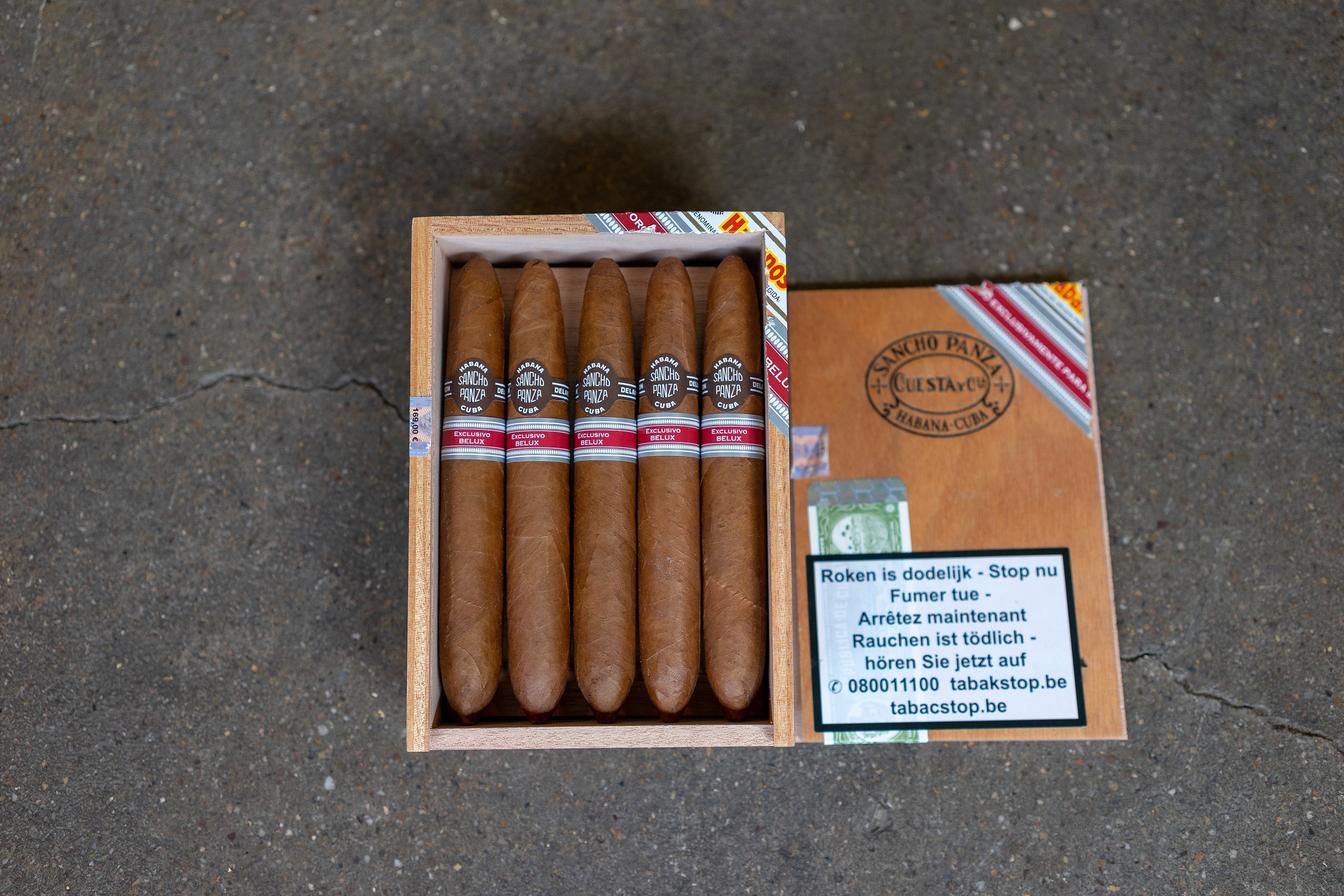 Sancho Panza Gran Quixote (Ex. Belux 2018) Cuban Cigars for sale