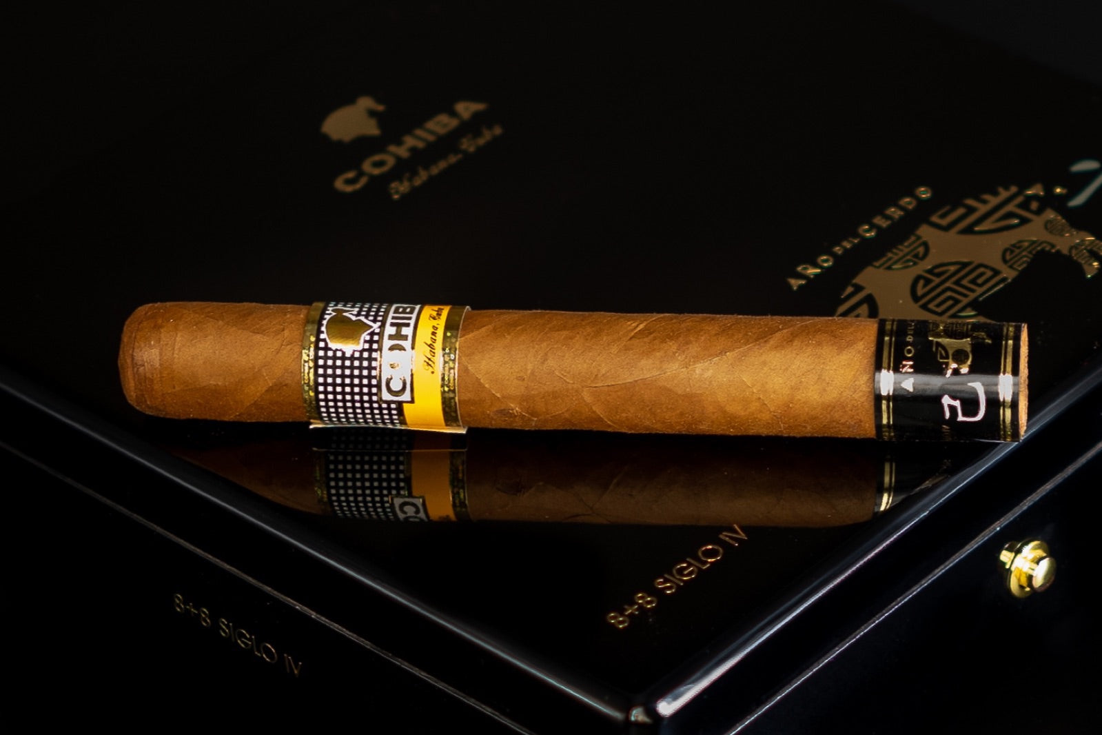 The best Cohiba cigars: a Cohiba Siglo cigar resting on a glossy black lacquered Cohiba box with dramatic reflection