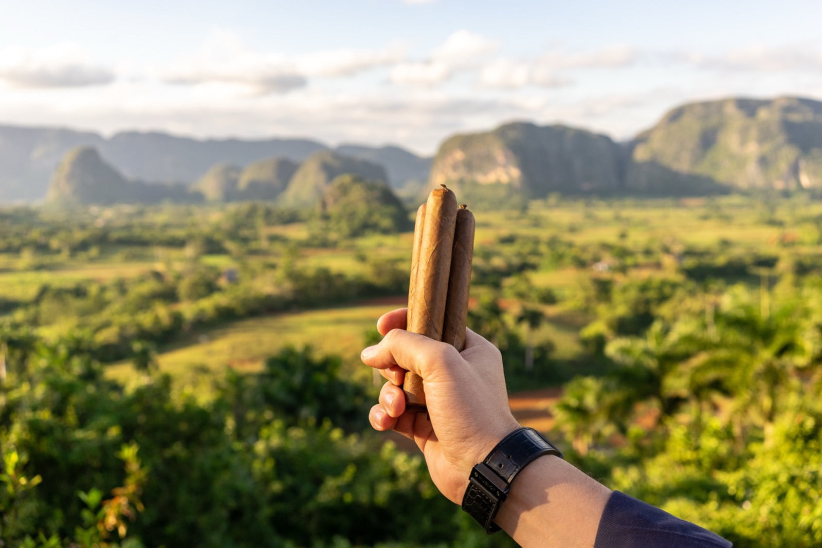 Hand holding two premium Cuban cigars above the sunlit Vinales tobacco valley in a Cuban vs New World cigars story