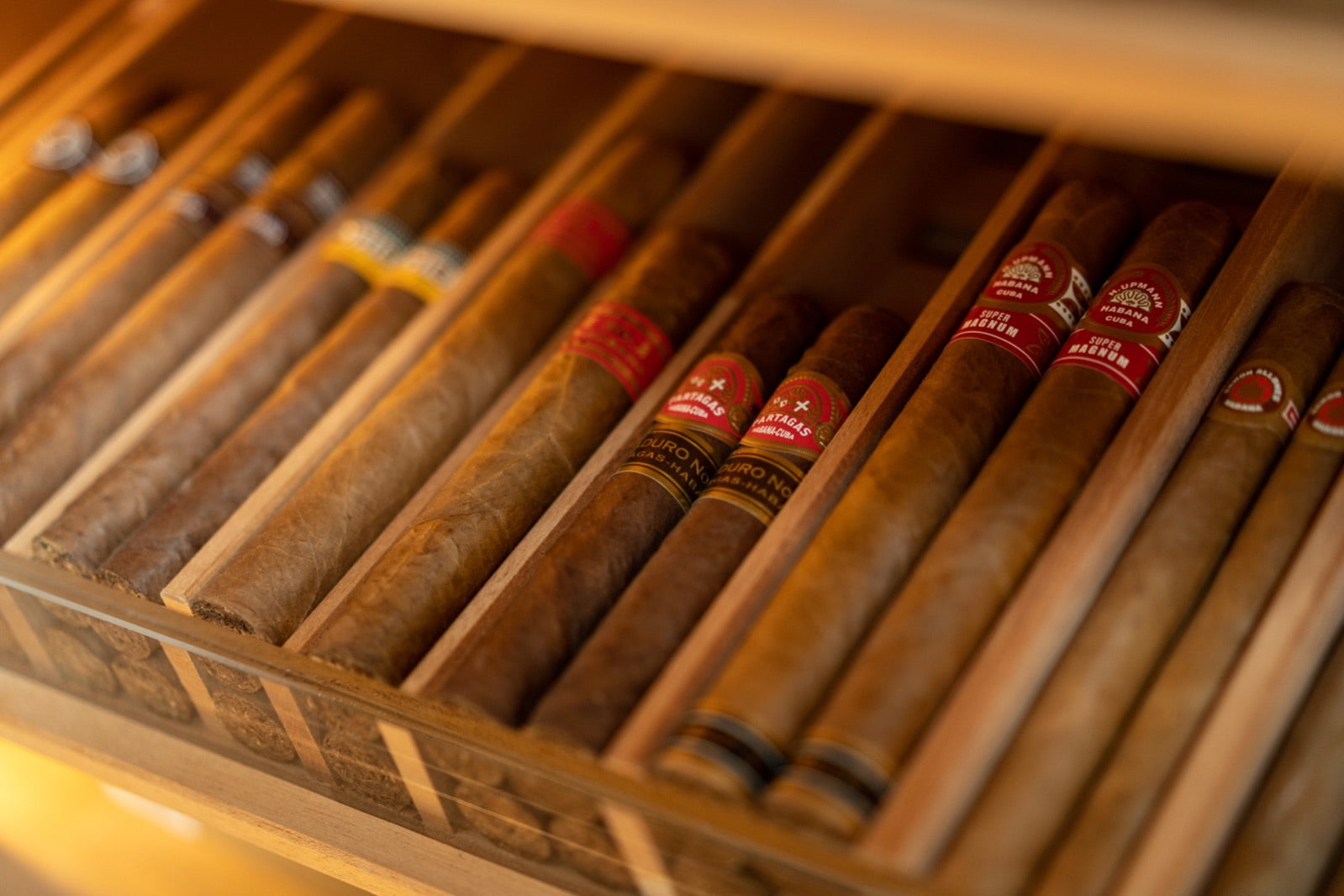 Premium hand-rolled cigars including a lancero lined up in an open wooden humidor drawer under warm light