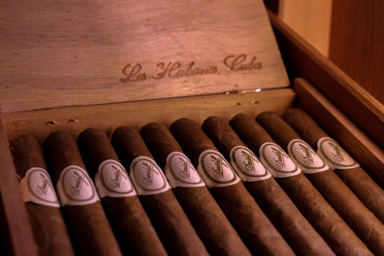 Open box of premium Davidoff cigars from Havana, Cuba, illustrating the format and craftsmanship behind a Churchill cigar