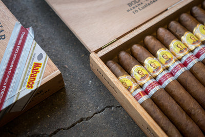 Bolivar Lusiadas Cigar (Ex. Portugal 2017)