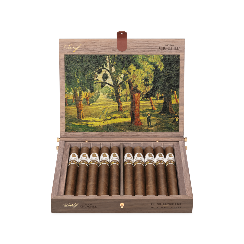Davidoff Winston Churchill Limited Edition 2025 Cigar