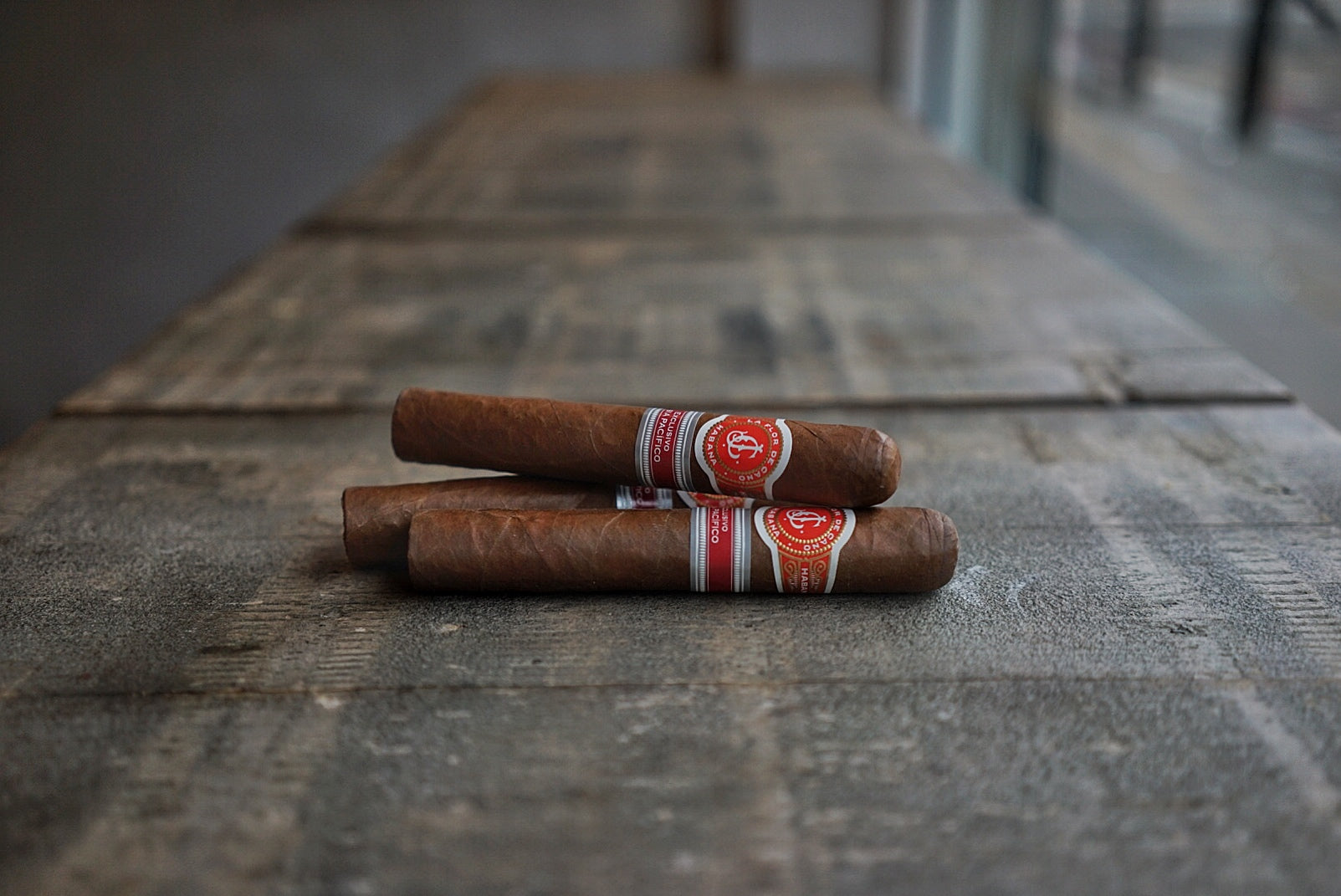 La Flor de Cano Grandiosos (Ex. Asia Pacifico 2013)