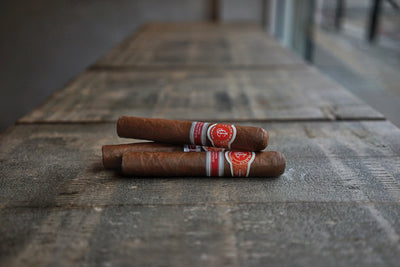 La Flor de Cano Grandiosos (Ex. Asia Pacifico 2013)