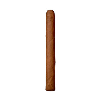 Oliva Series V Señoritas