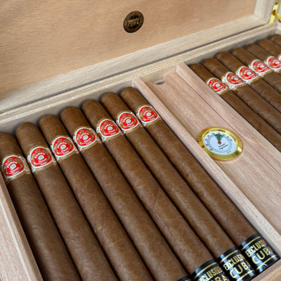 Punch Double Coronas 185th Aniversario Cigar Humidor