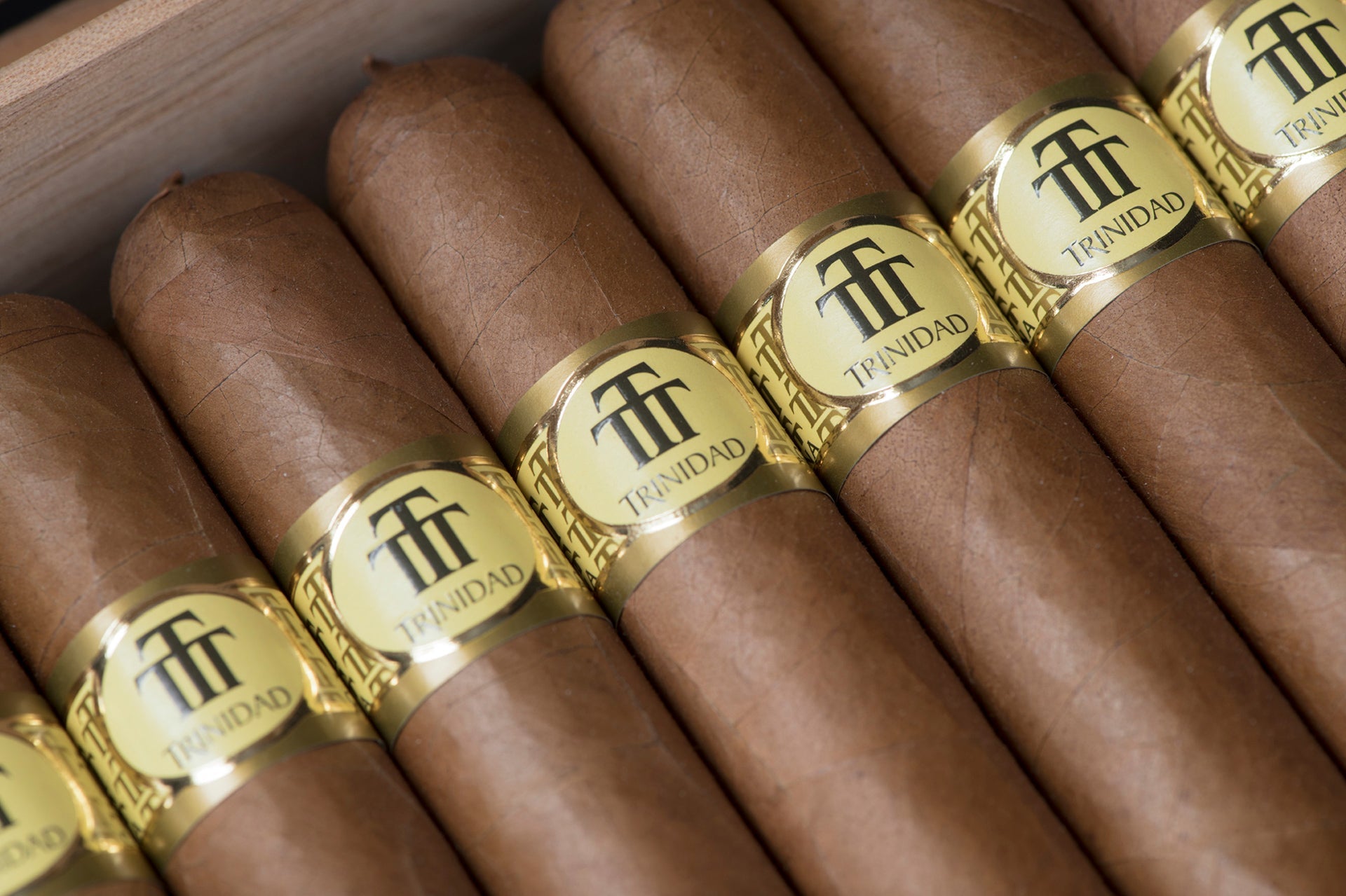 Trinidad Casilda - Colección Habanos Edición 2019 Book