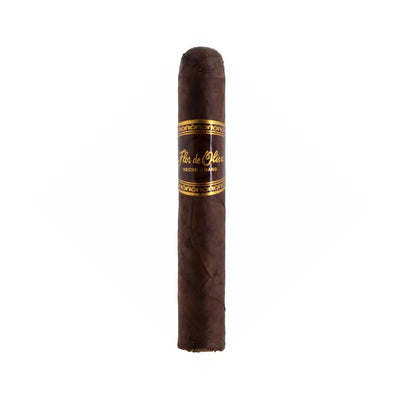 Flor de Oliva Robusto