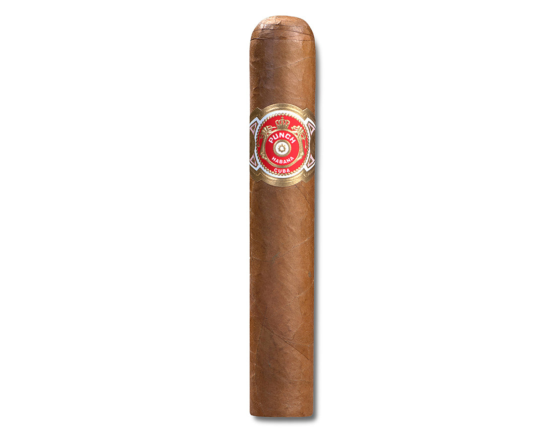 Punch Short de Punch Cigar